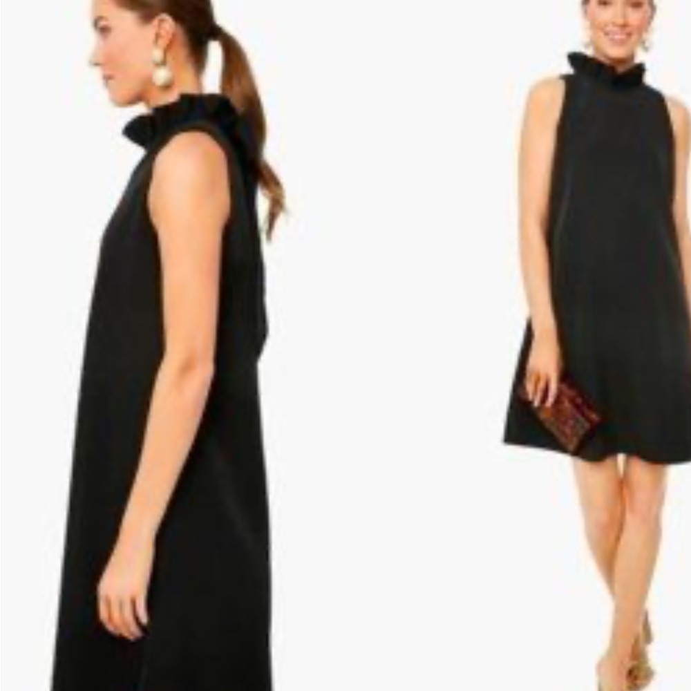 Pomander Place Black Ruffle Neck Mini Dress